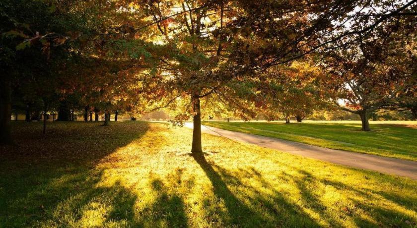 The Riccarton Hotel クライストチャーチ エクステリア 写真